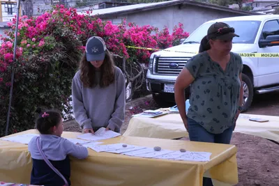 DSC_1277 (Large).JPG